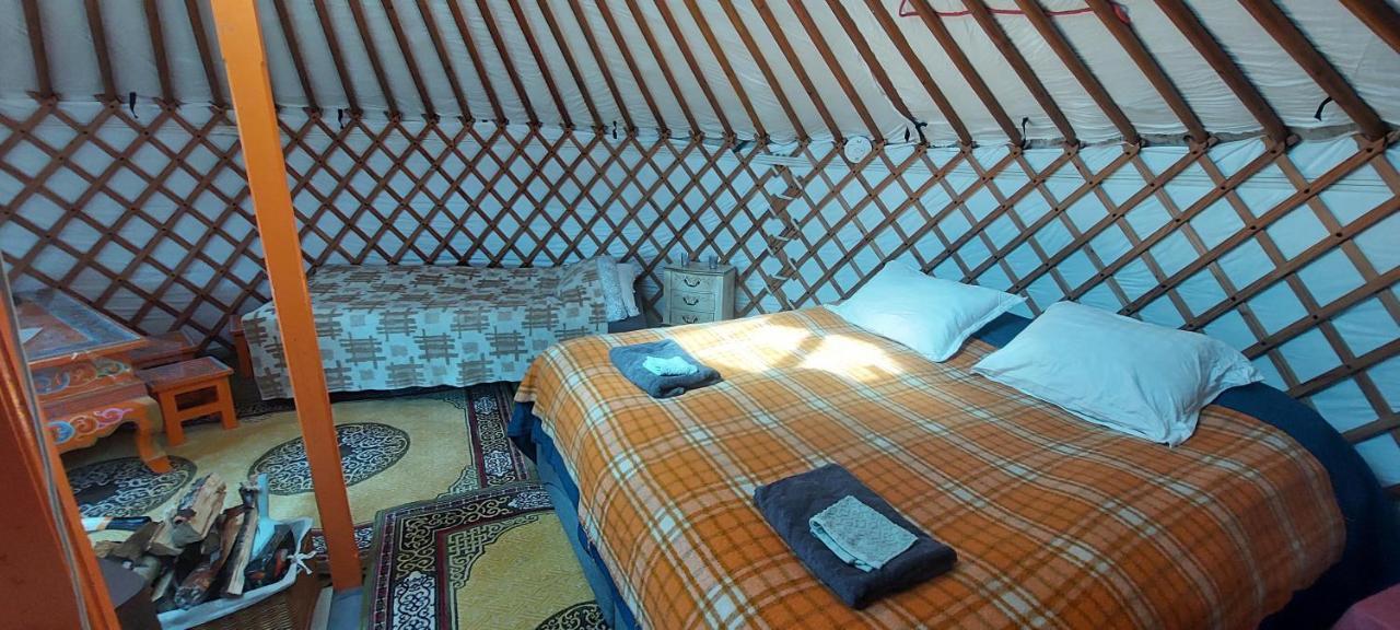 Iceland Yurt Akureyri Exterior foto