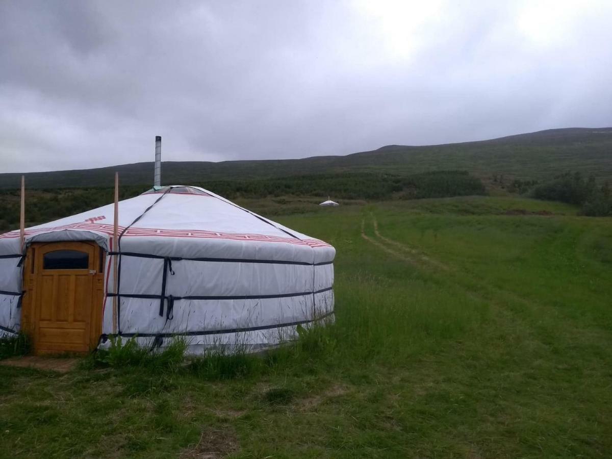 Iceland Yurt Akureyri Exterior foto