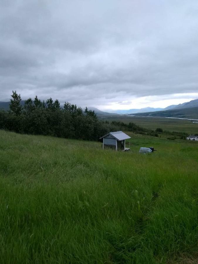 Iceland Yurt Akureyri Exterior foto